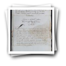 Testamento de Francisco Dias Chaves lavrador aprovado em 7 de agosto de 1772